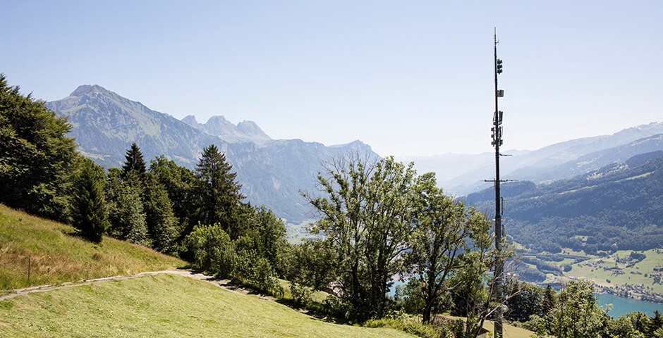 Mobilfunk-Antenne auf Bergwiese