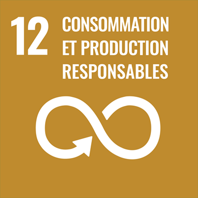Logo consommation et production durables